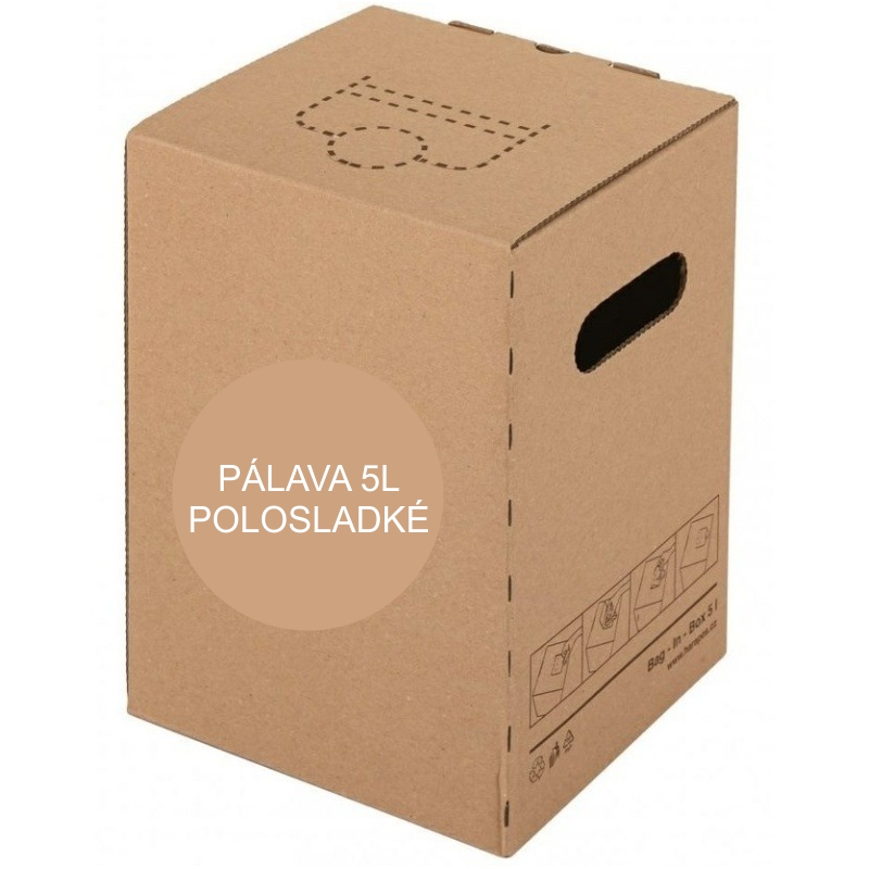 PÁLAVA MZV POLOSLADKÉ BiB 5L